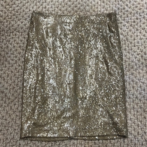 Zara sequence skirt. - Picture 1 of 3